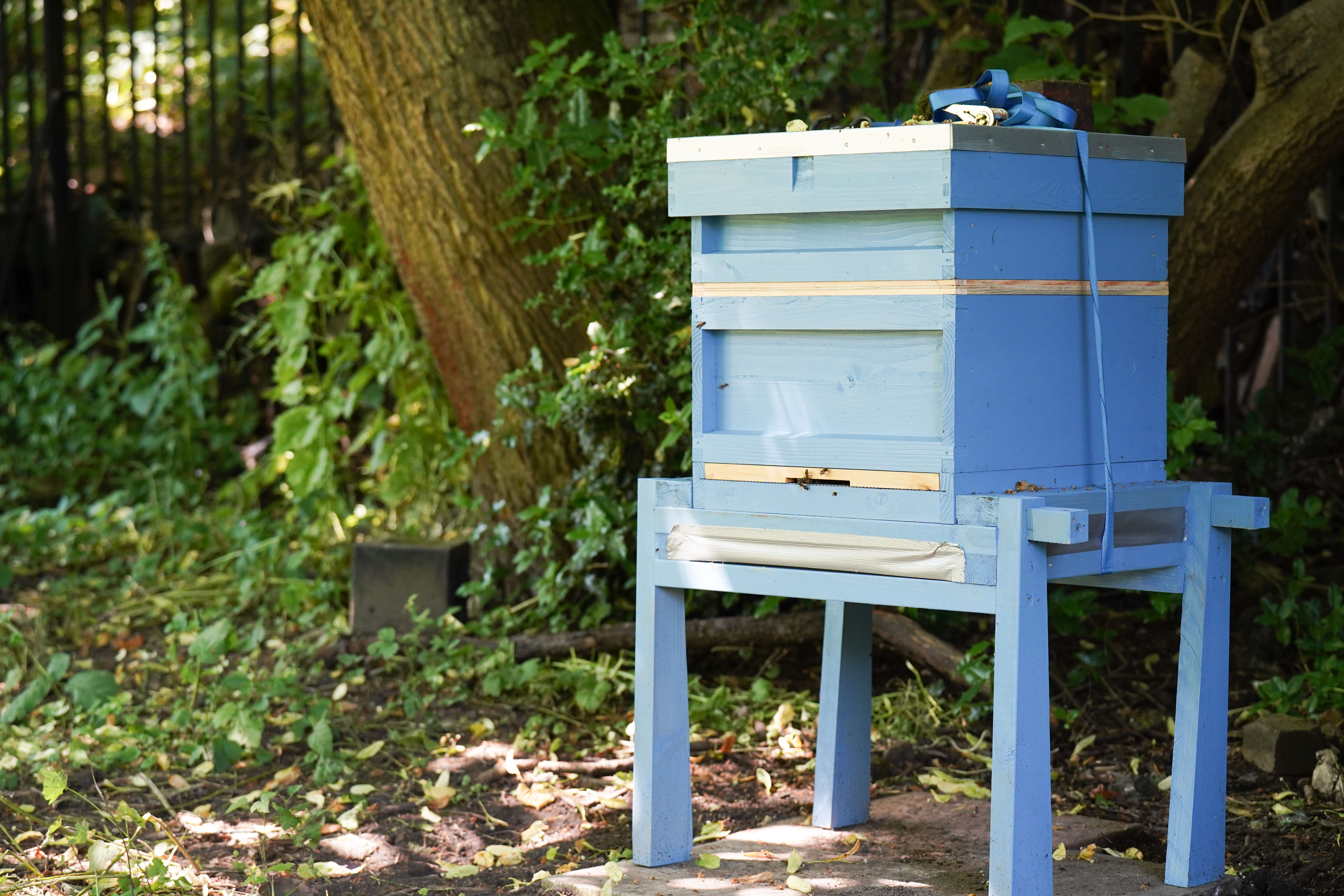 One of the hives in Coseley Church yard