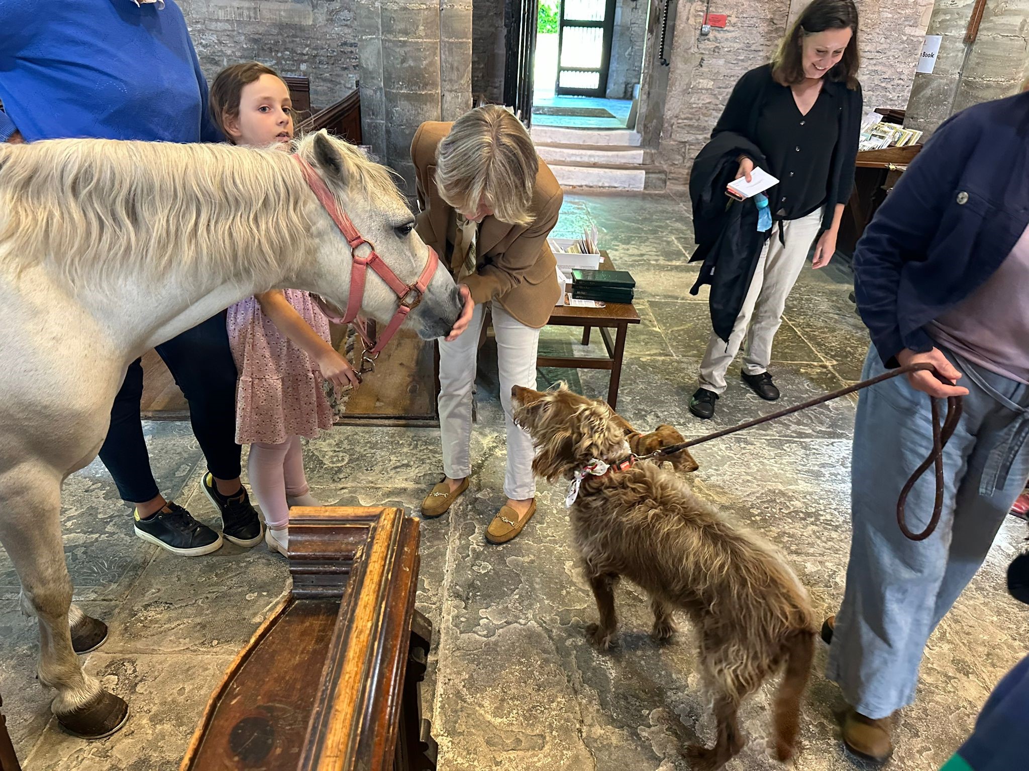 A pony and dog greet one another inside Ripple church