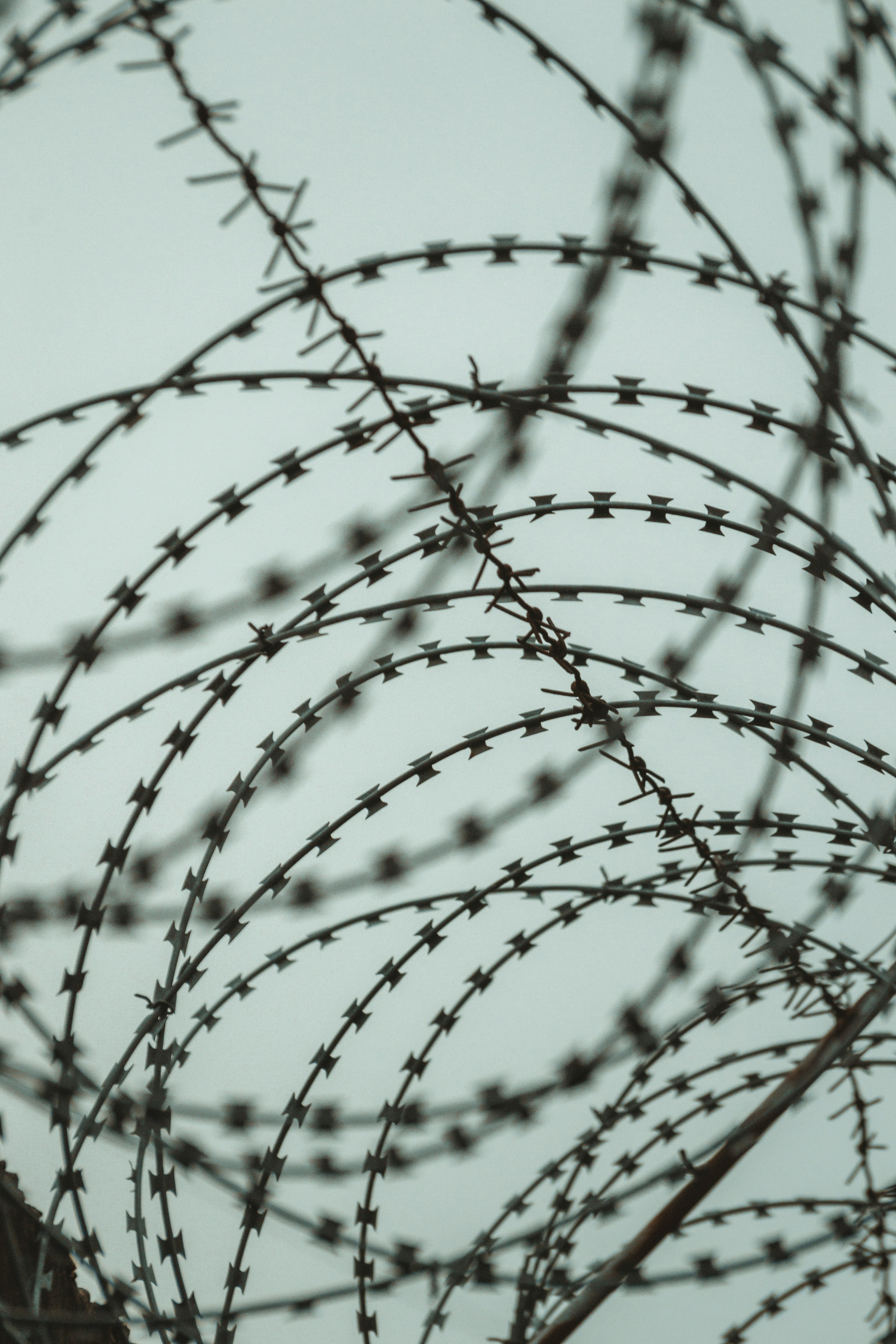 Close up photo of barbed wire