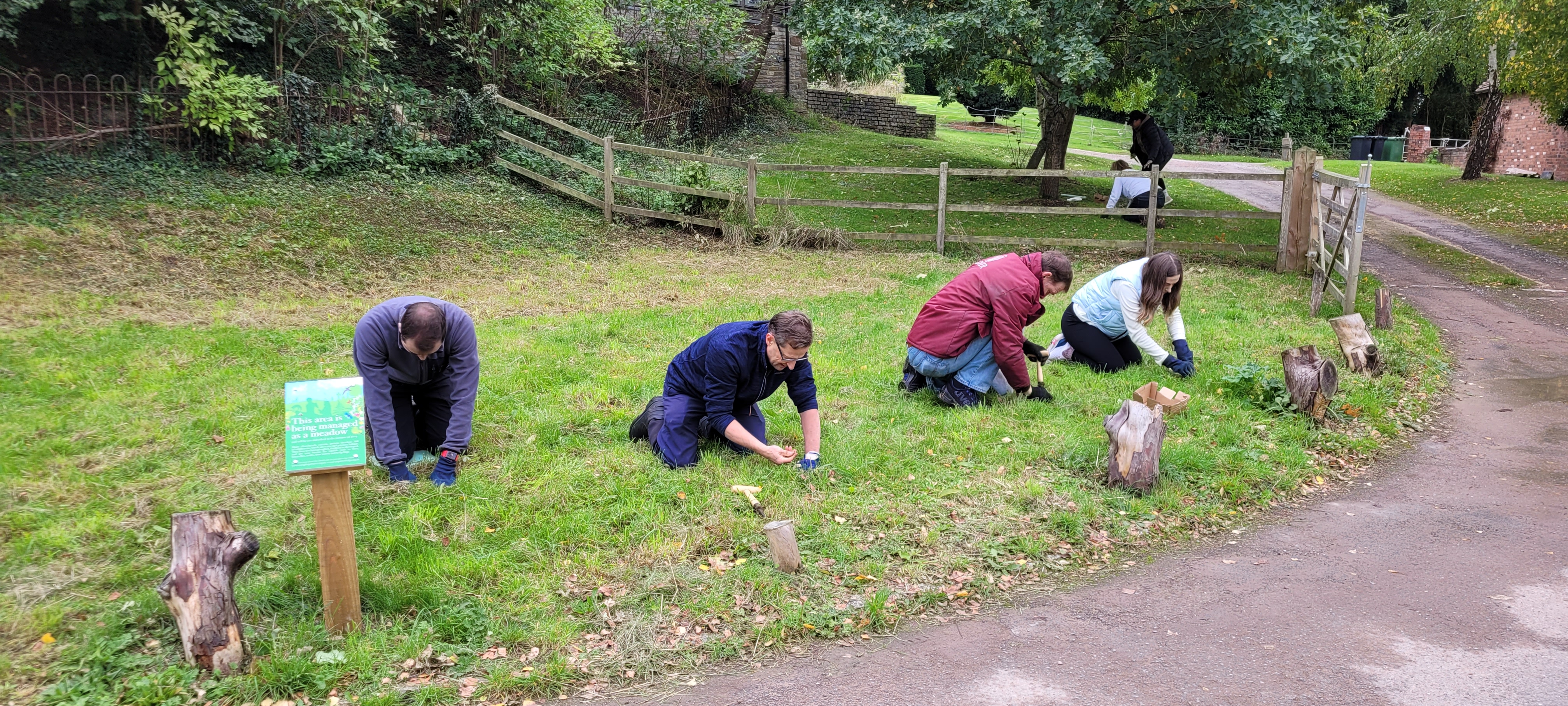 People planting bulbs in St Nicholas churchyard