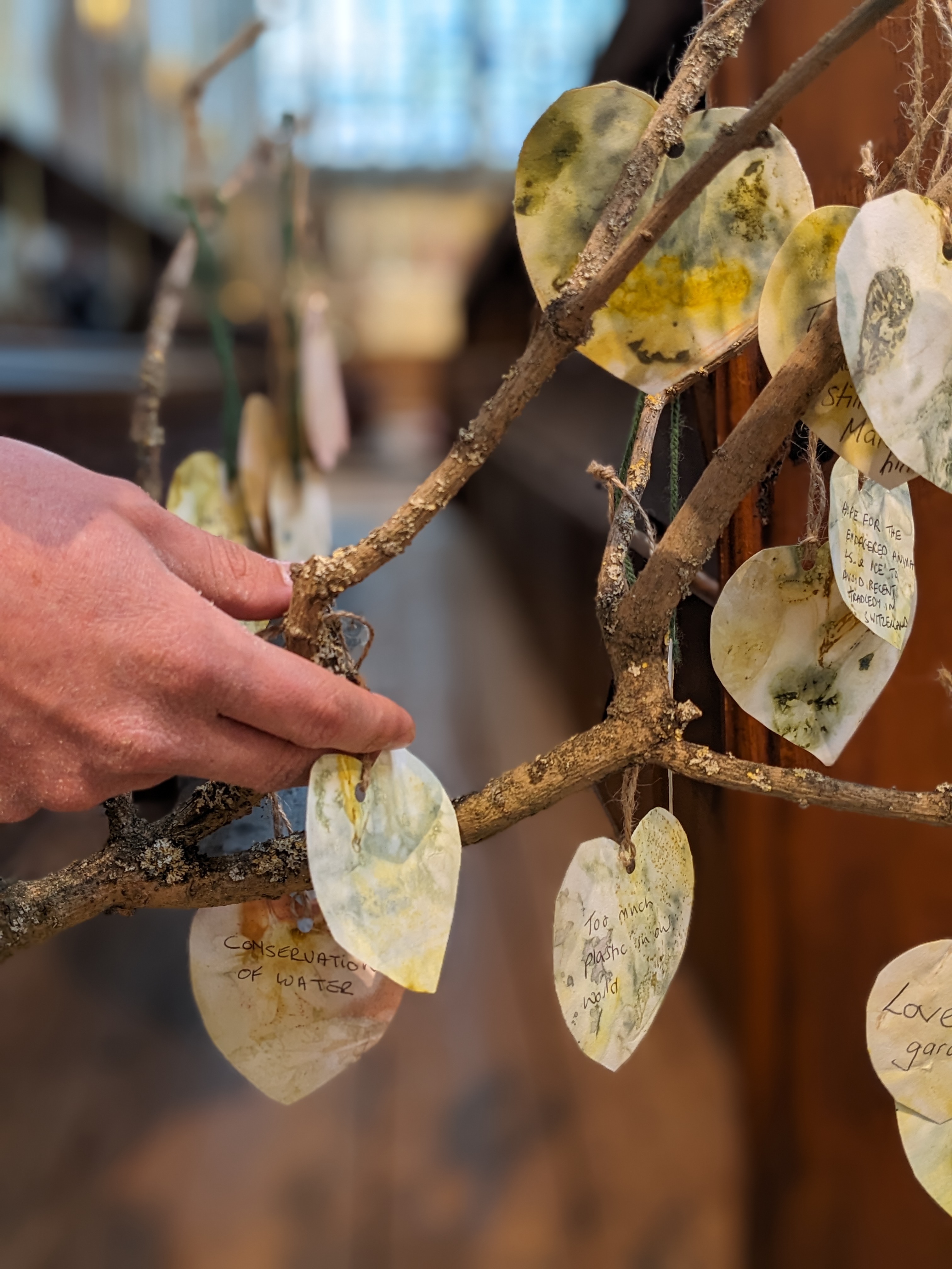 A hand places an eco leaf on the branch of a tree inside Malvern Priory