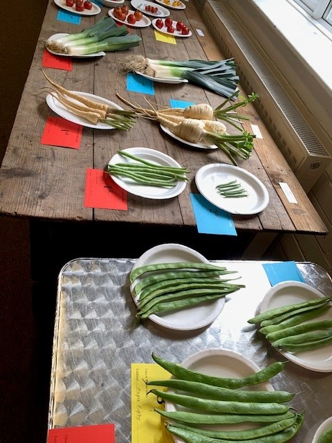 Table full of vegetables at Tardefest