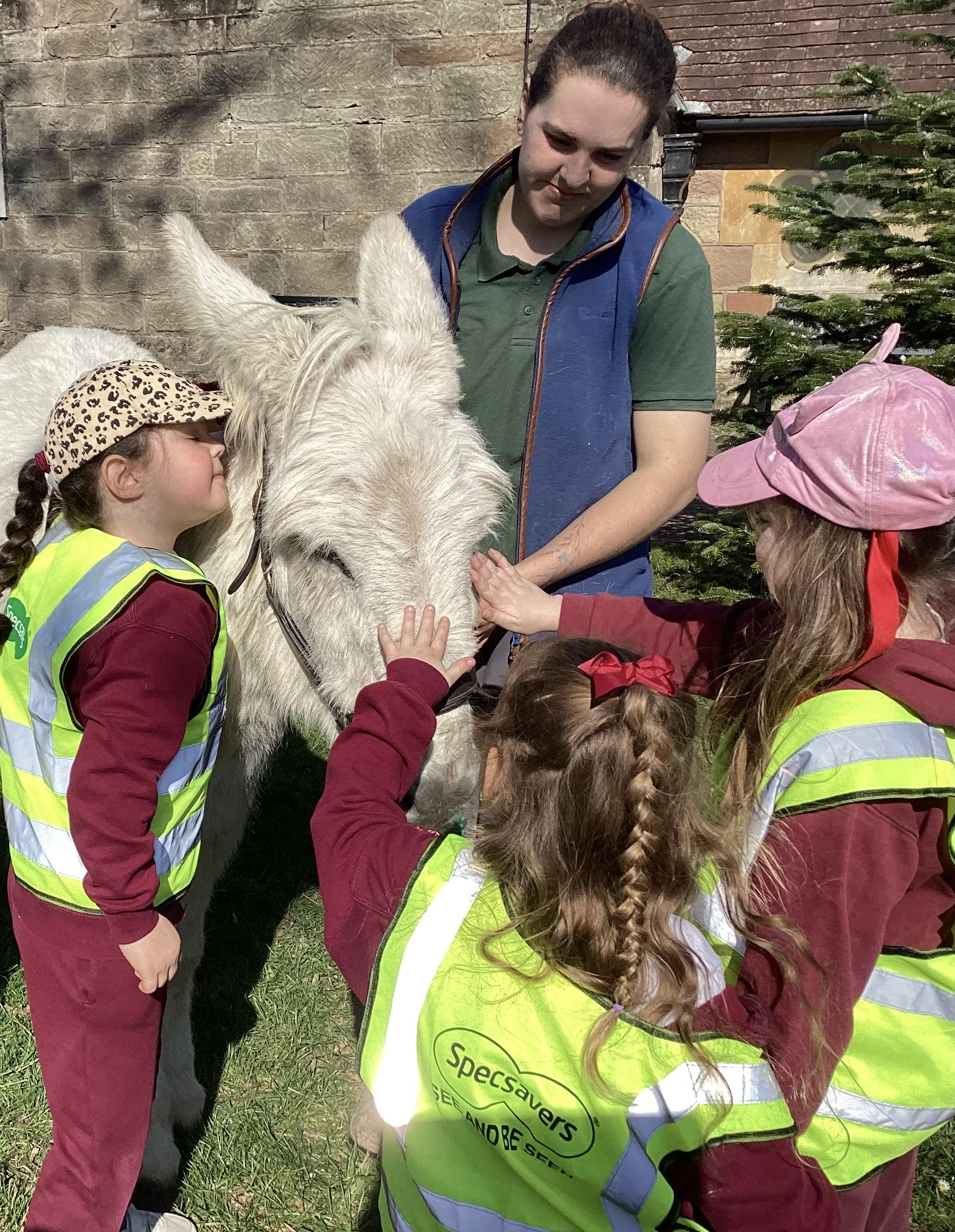 A white donkey being held by his handler as it is stroked by three girls
