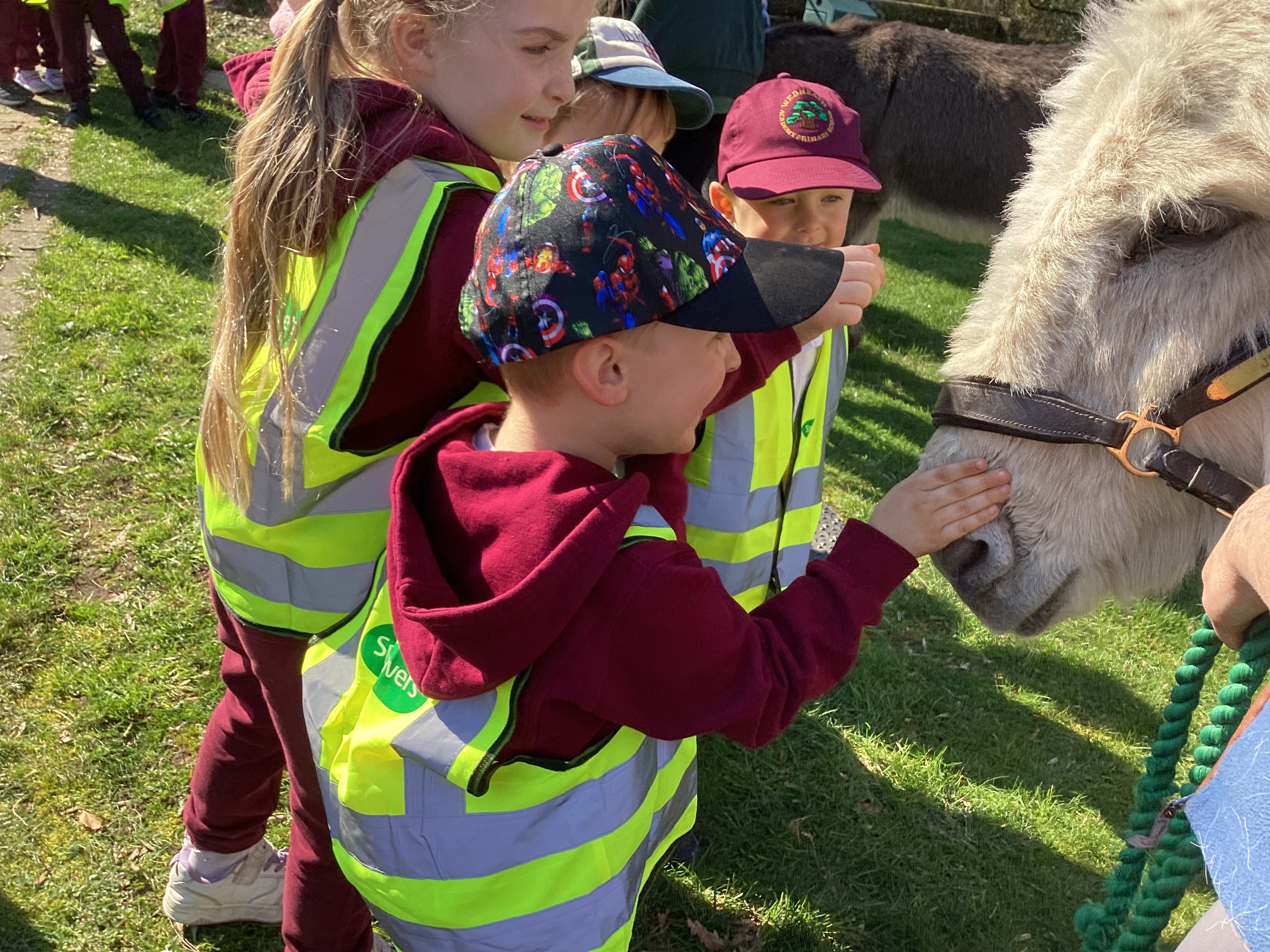 Some children stroking the nose of a white donkey