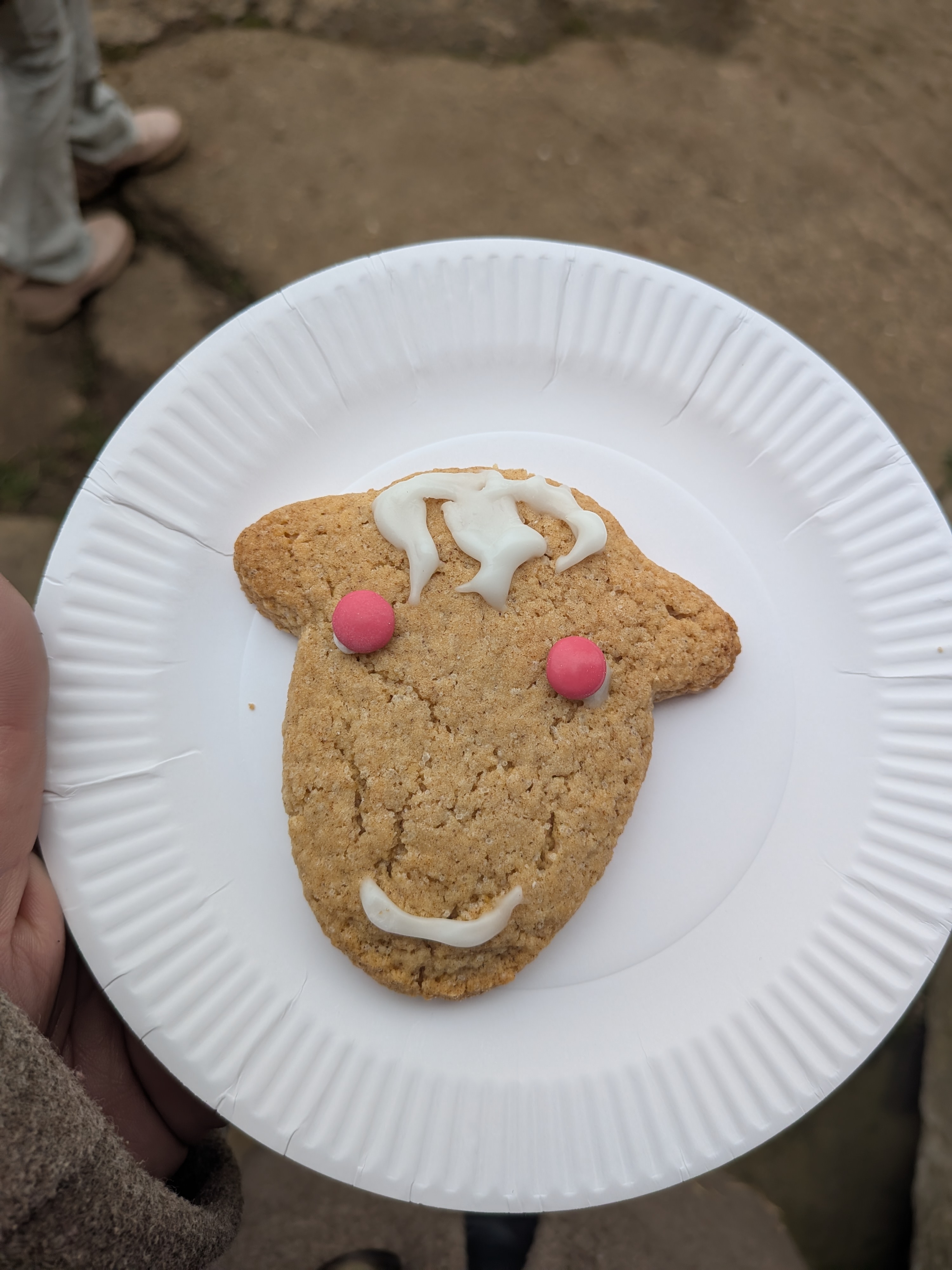 A biscuit decorated as a sheep's face