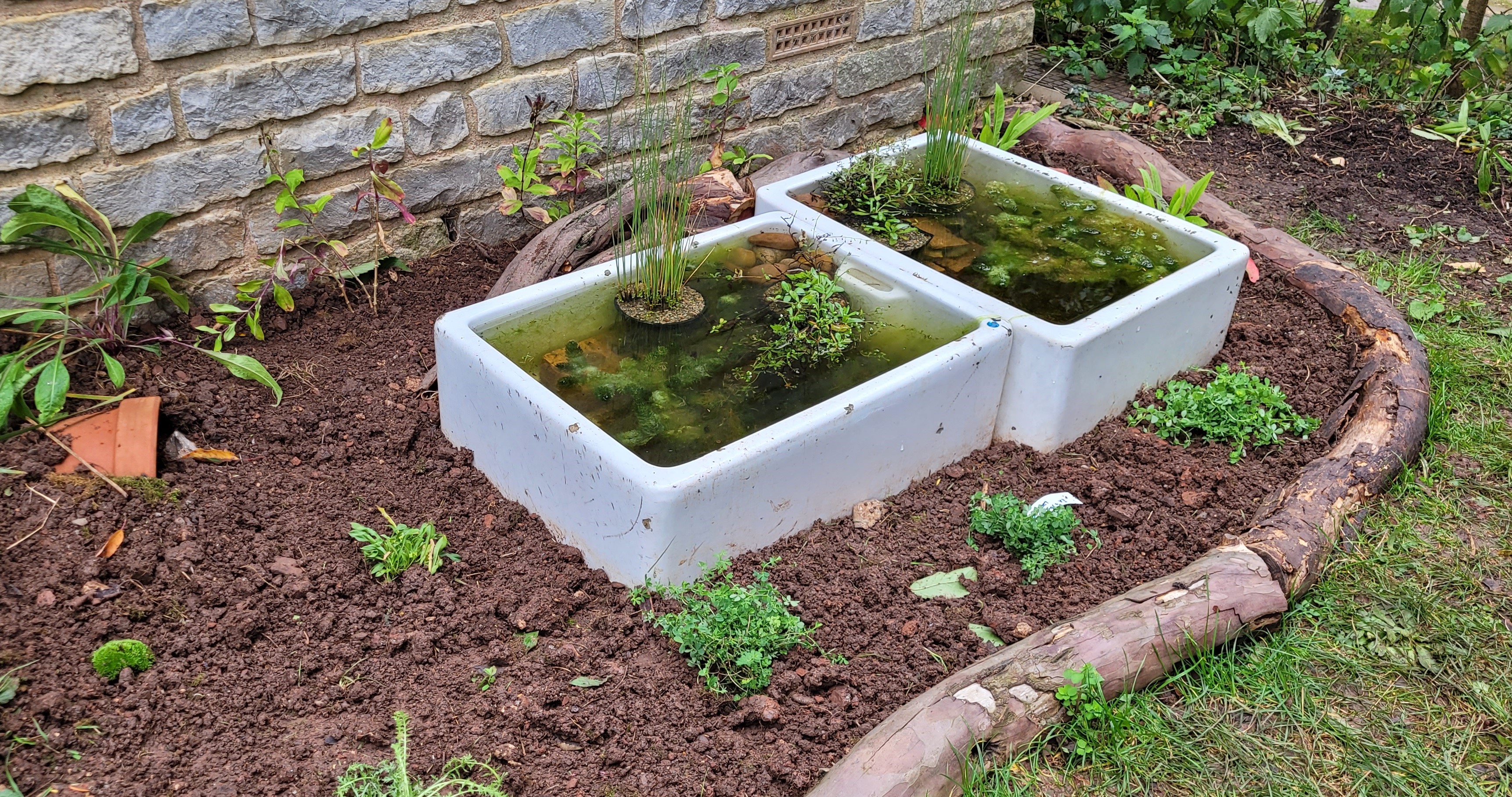 Mini ponds created from sinks at St Nicholas Warndon