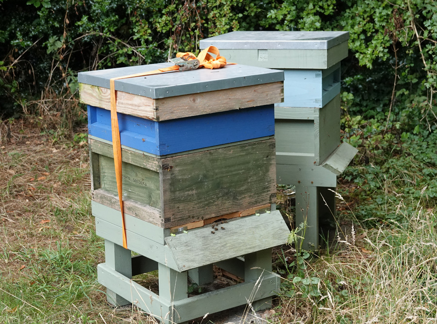 Two Beehives in Hanley castle churchyards