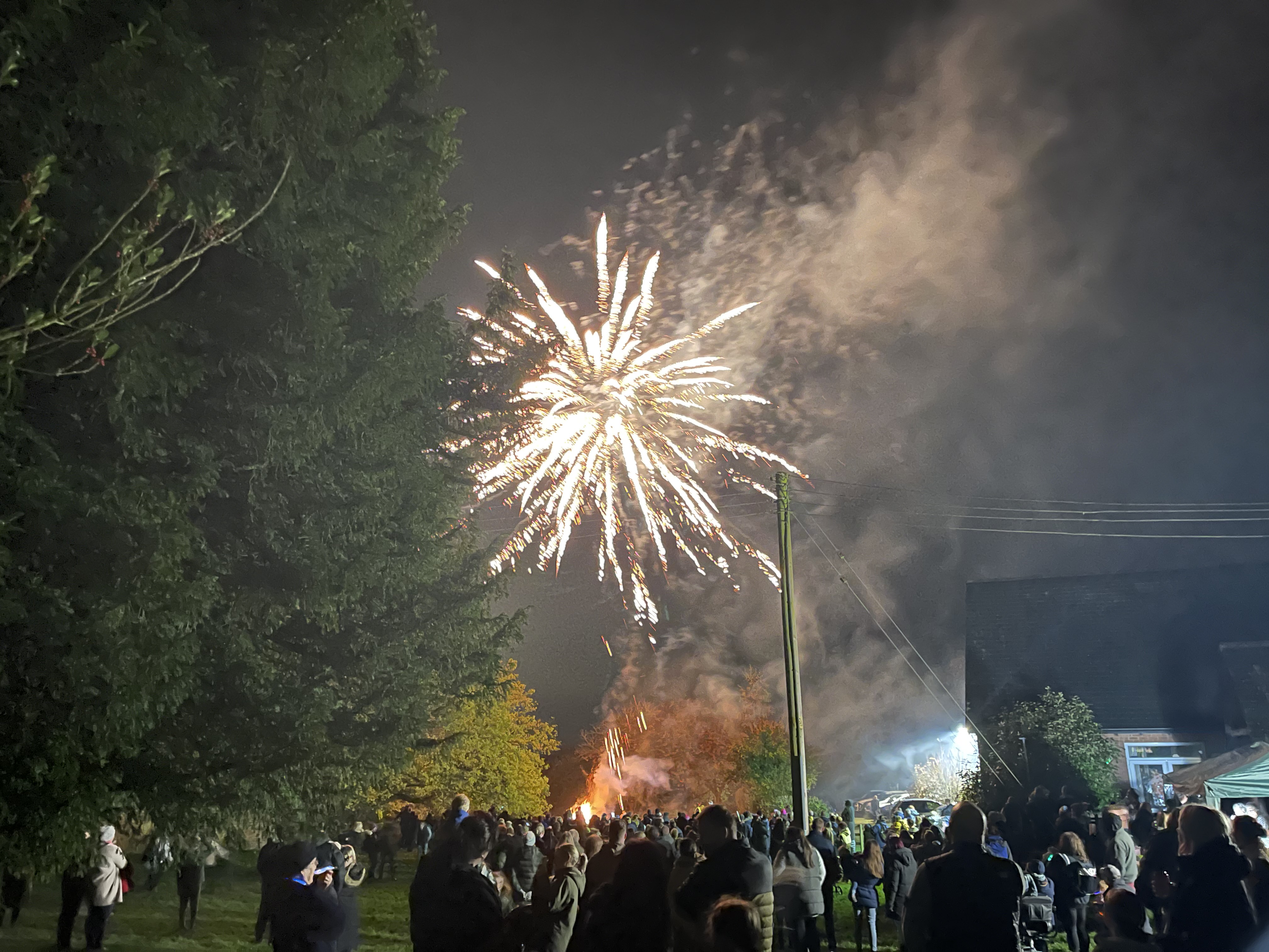 Firework in the sky watched by a crowd of people