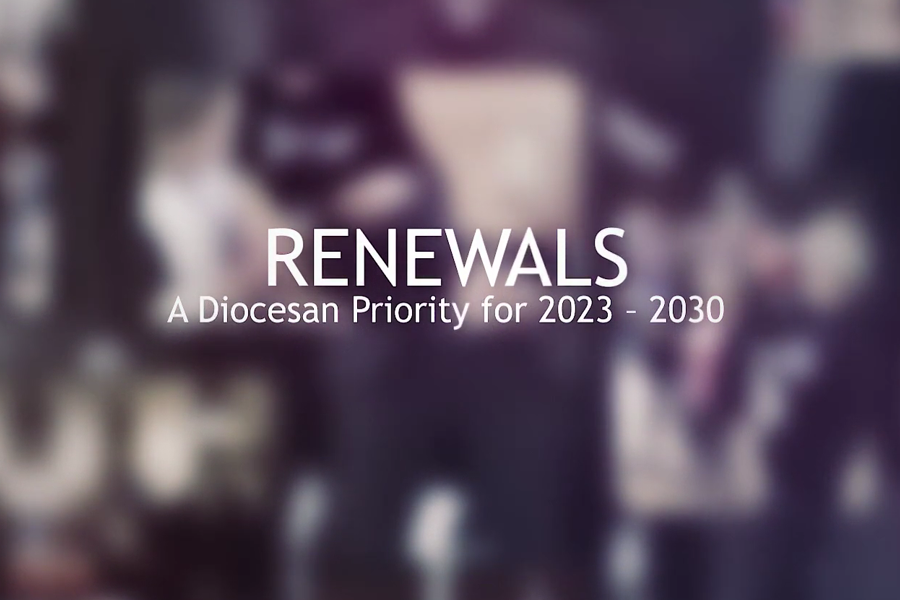 Renewals video graphic.png