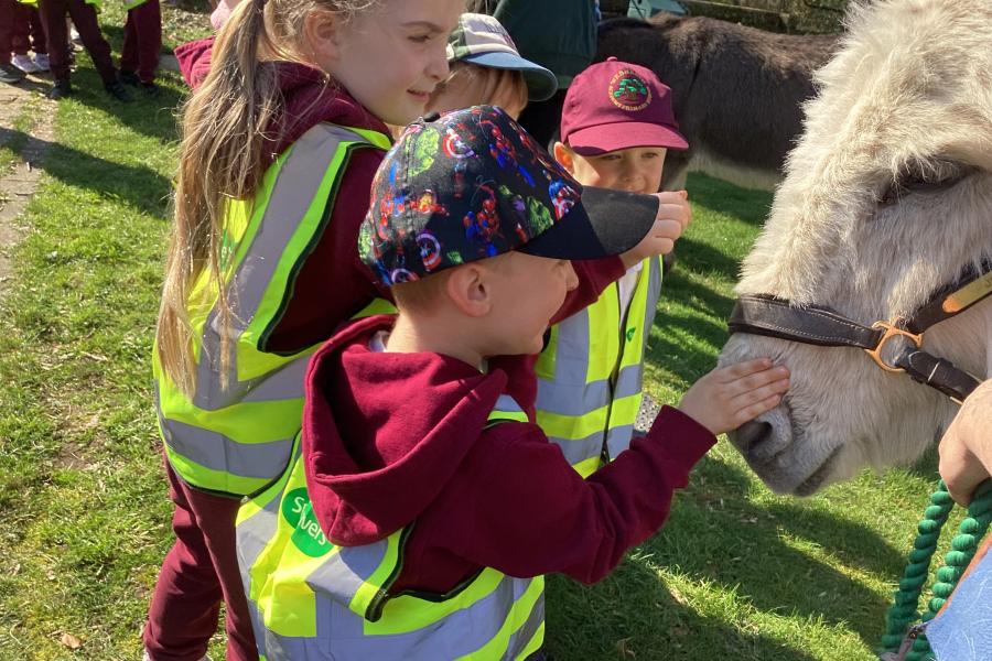 Children w donkeys in Webheath 2.jpeg