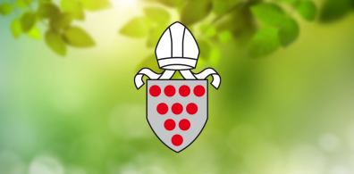 Diocesan Eco Logo