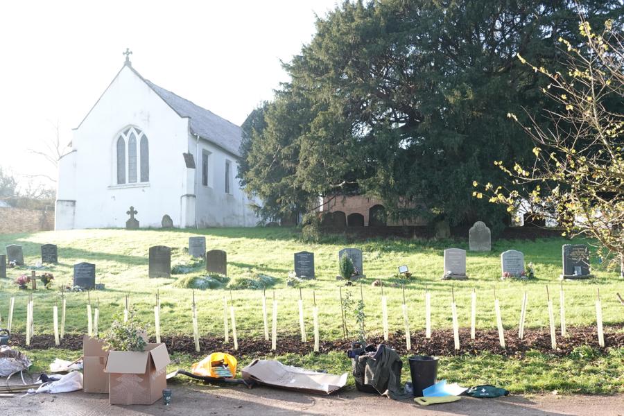 new hedge at St Nicholas Warndon_header