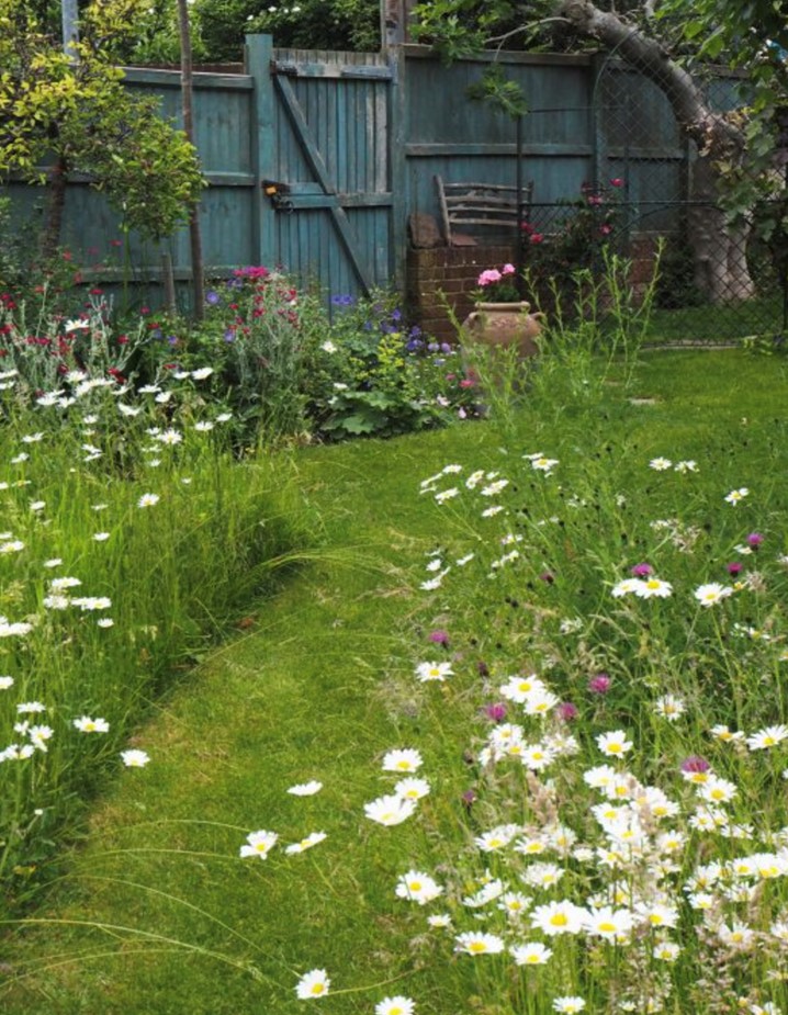 a garden meadow