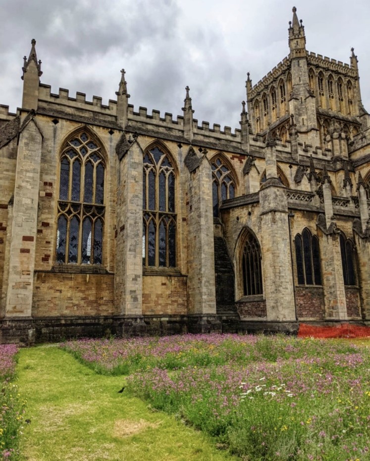 Bristol Cathedral's wildflower meadow