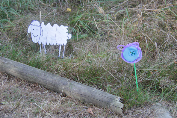 sheep & flower in the garden