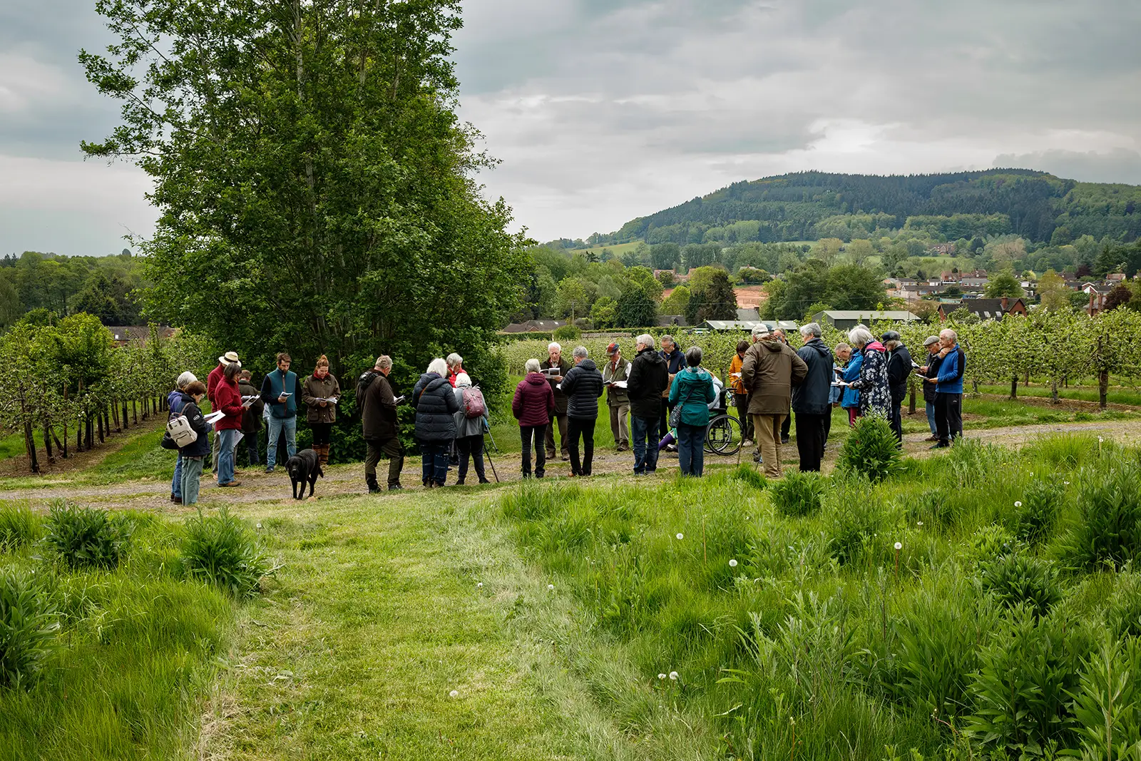 A group of people gathered together in a field with grass in the foreground and hills in the background