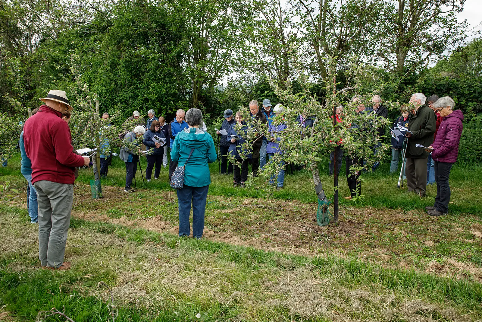 People standing between some trees
