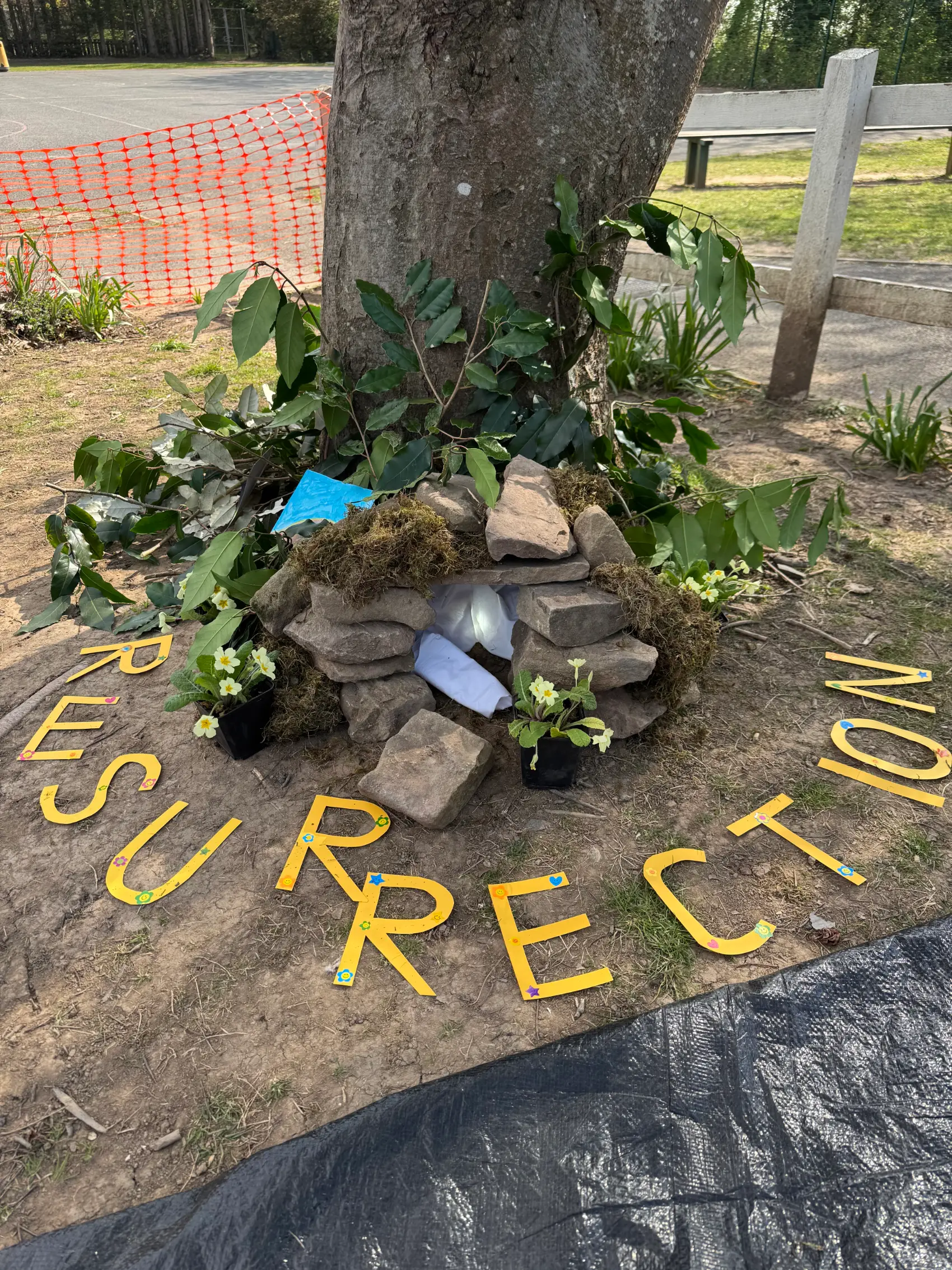 The words resurrection around the base of a tree